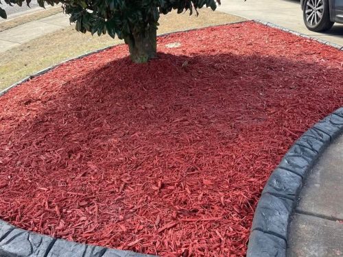 FB_IMG_1742264143511