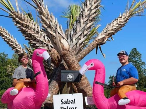 FB_IMG_1750026901069